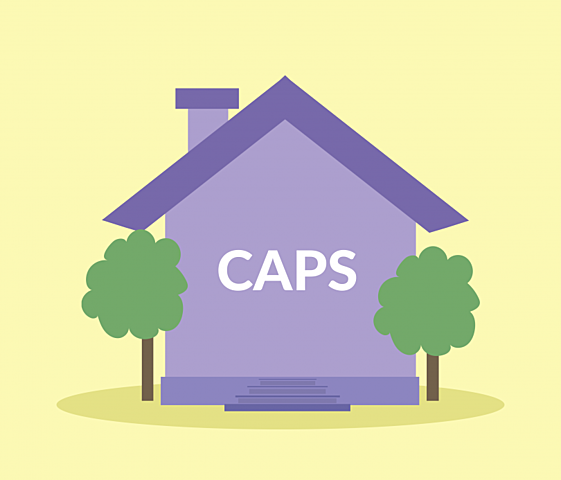 1992 - Criação do CAPS