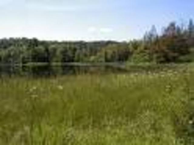 Michigan Land is Gained