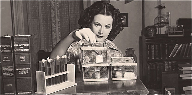 Prestigio EFF Pioner Award