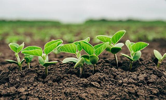 Principios del Siglo XX.