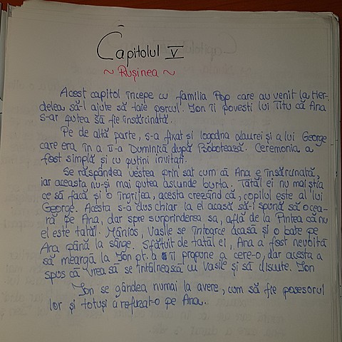 Capitolul 5