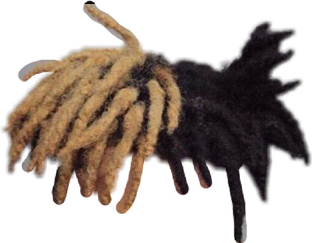 X died while I was at a summer camp