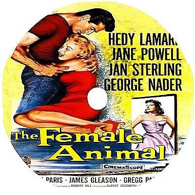 "The Female Animal"