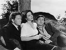 Proyecto multimediático