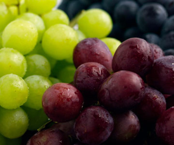 UFW’s Nationwide Boycott of grapes picked on nonunion farms