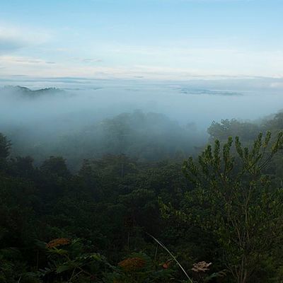 Timeline: La voz de Elizabeth Castillo