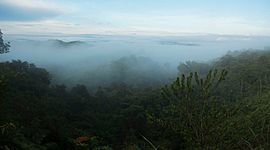 Timeline: La voz de Elizabeth Castillo