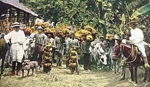 La època bananera  (1945-1960)