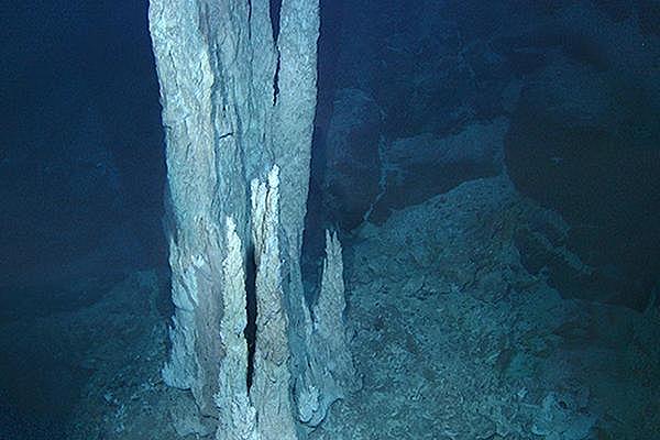 origen de la vida en la tierra