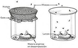 Generación espontanea
