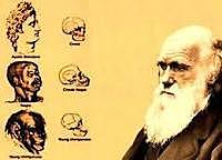 Teoría de darwin