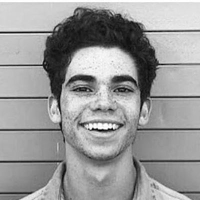 Timeline: Timeline of Cameron Boyse