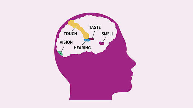 Sensory Information