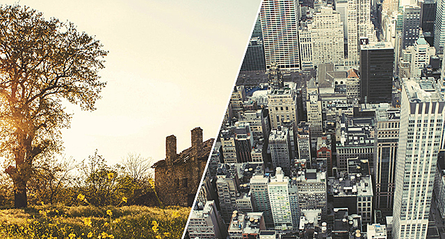 Unificación de plan de estudio