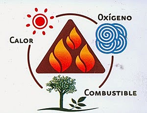 Teoría de la Combustión