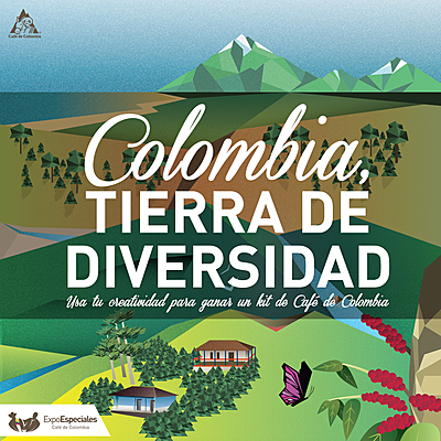 Timeline: Diversidad En Colombia, Línea De Tiempo
