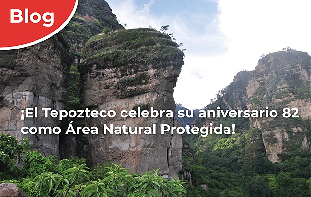 Parque nacional El tepozteco.