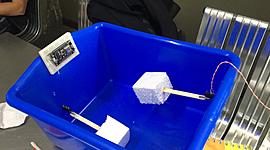 Timeline: progreso de trabajo