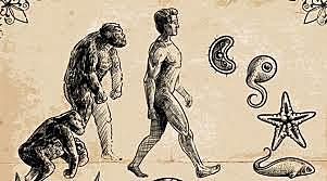 Teoría de la evolución de la vida (Antepasado Común)