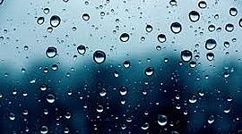 Timeline: Línea del tiempo "Un refugio en días lluviosos"