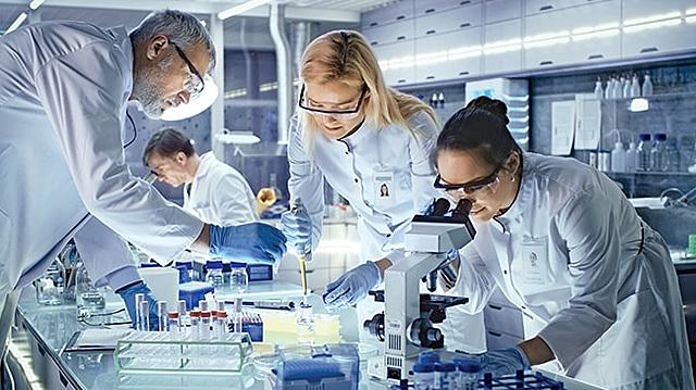 Primeros ensayos clinicos en humanos