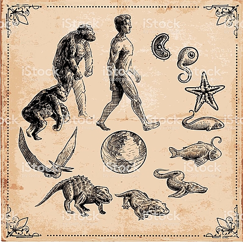 evolucion de la vida (Darwinismo)