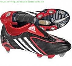 Sexto tipo de chimpun