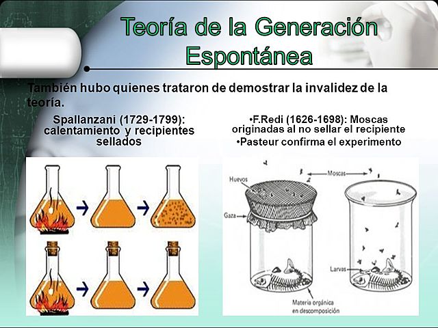 TEORÍA DEL ORIGEN DE LA VIDA: GENERACIÓN ESPONTANEA