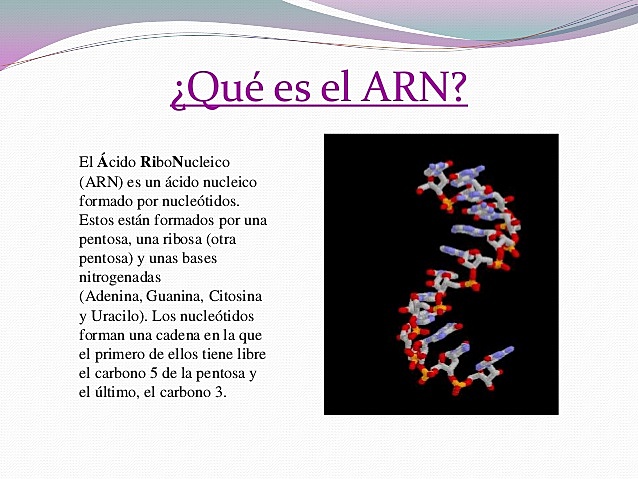 TEORÍA DEL ORIGEN DE LA VIDA: EL MUNDO DEL ARN