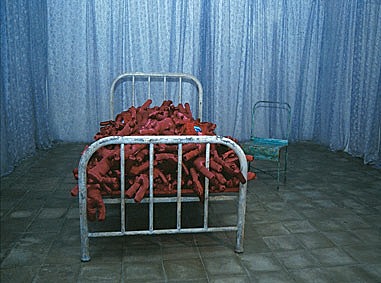 Dhara Rivera- Puerto Rico