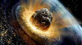 Timeline: Evolución de la vida en la tierra.