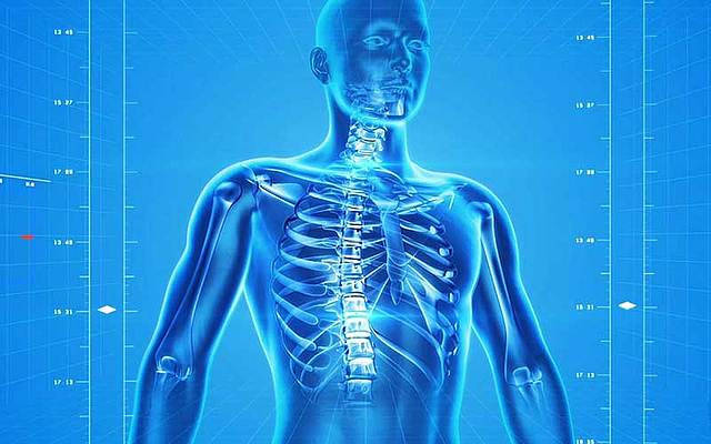 Pez Oseo - Ser Humano