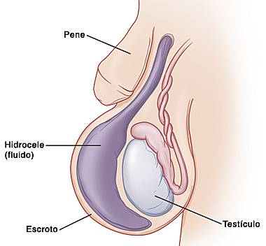 Jean Nicolas Demarquay