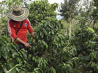 Primer Acuerdo de la Agenda de Negociación