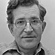 Noam chomsky (1977)