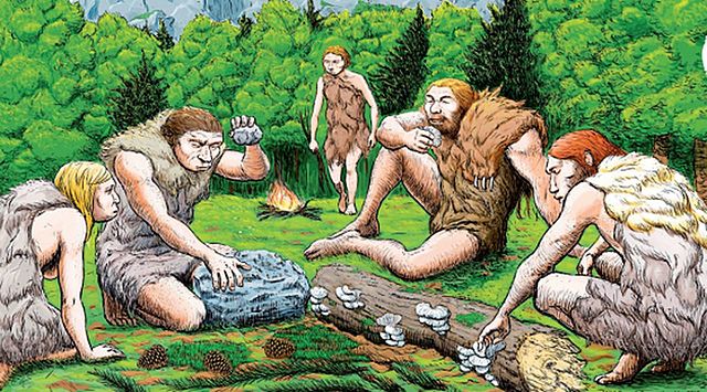 Los neandertales posiblemente usan hierbas medicinales como lo demuestran los dientes de neandertales fosilizados.