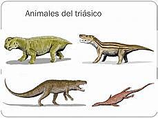 Periodo Triasico