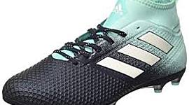 Timeline: evolucion de los chimpunes