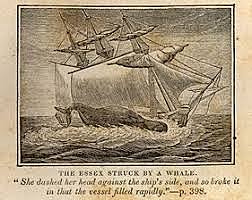 Desembarque en tierra