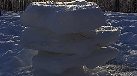 Timeline: Timeline for PSY A150