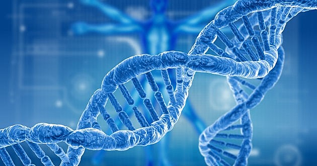 The Human Genome Project (HGP): the project purpose was to deliver the first draft of human DNA sequencing