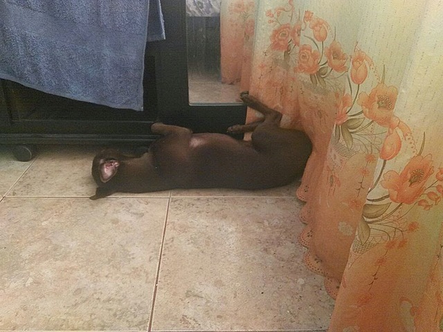 I almost lost seventh grade