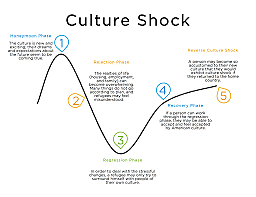 Culture Shock