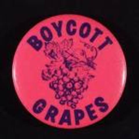UFW’s Nationwide Boycott of grapes picked on nonunion farms
