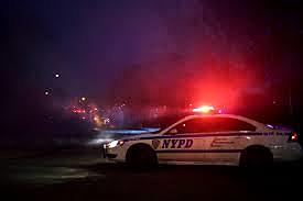 Thea enters Foster Care