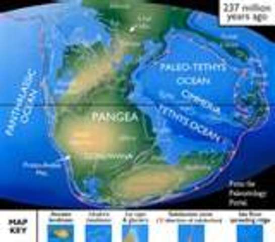 (200 mya) Pangea starts to break apart