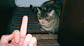 Timeline: 1. verdenskrig