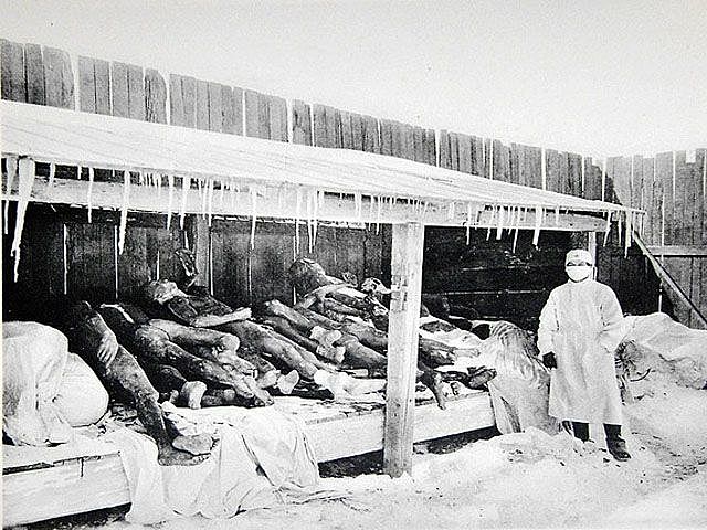 Japón bombardeó China con pulgas infectadas con la peste bubónica