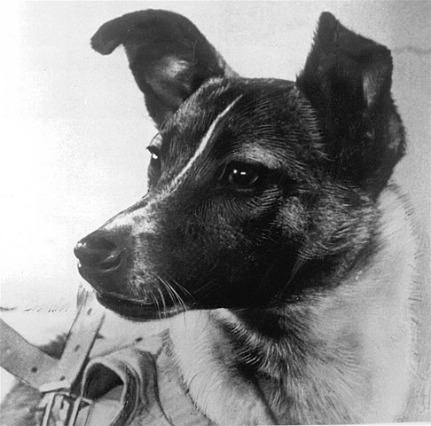 Sputnik II y Laika la perra espacial