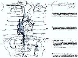Sistema circulatorio pulmonar